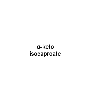 α-keto isocaproate